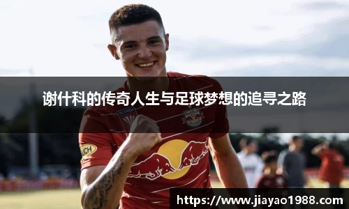 谢什科的传奇人生与足球梦想的追寻之路